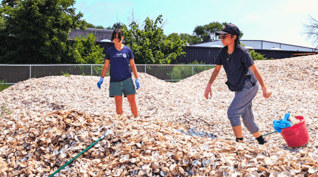 2024 Summer SLT at Billion Oyster Project